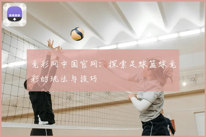 竞彩网中国官网：探索足球篮球竞彩的玩法与技巧
