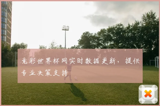 竞彩世界杯网实时数据更新，提供专业决策支持