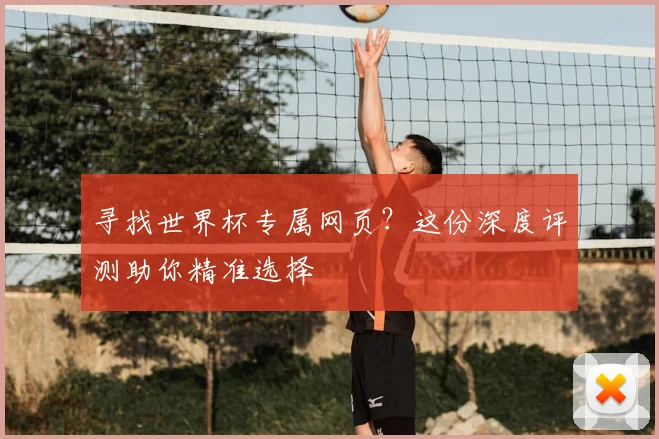 寻找世界杯专属网页？这份深度评测助你精准选择