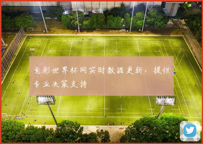 竞彩世界杯网实时数据更新，提供专业决策支持