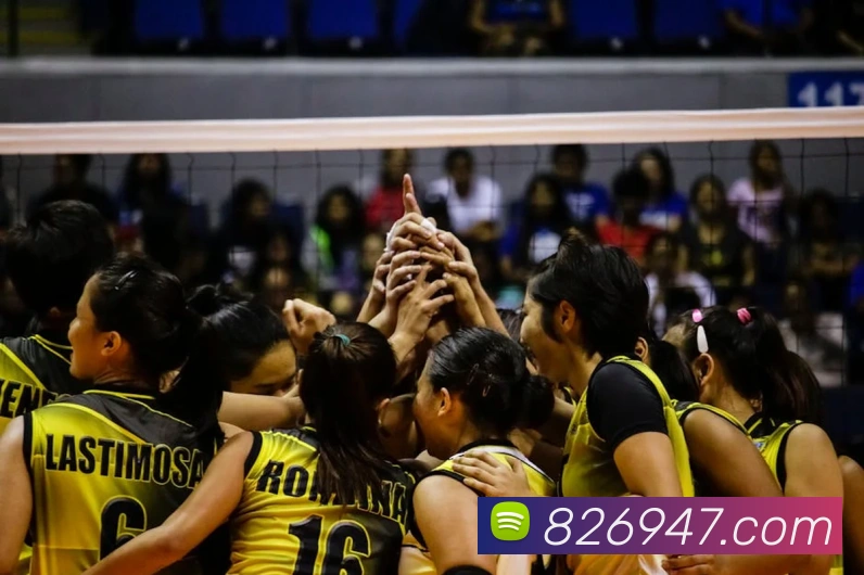 App Interface Preview