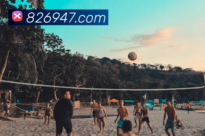 米兰app官方登录入口APP 封面图